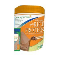 Organic Rice Protein Chocolate Powder - 1 lb (6 Pack) | Vegan Protein Supplement for Smoothies, Baking & Post-Workout Recovery