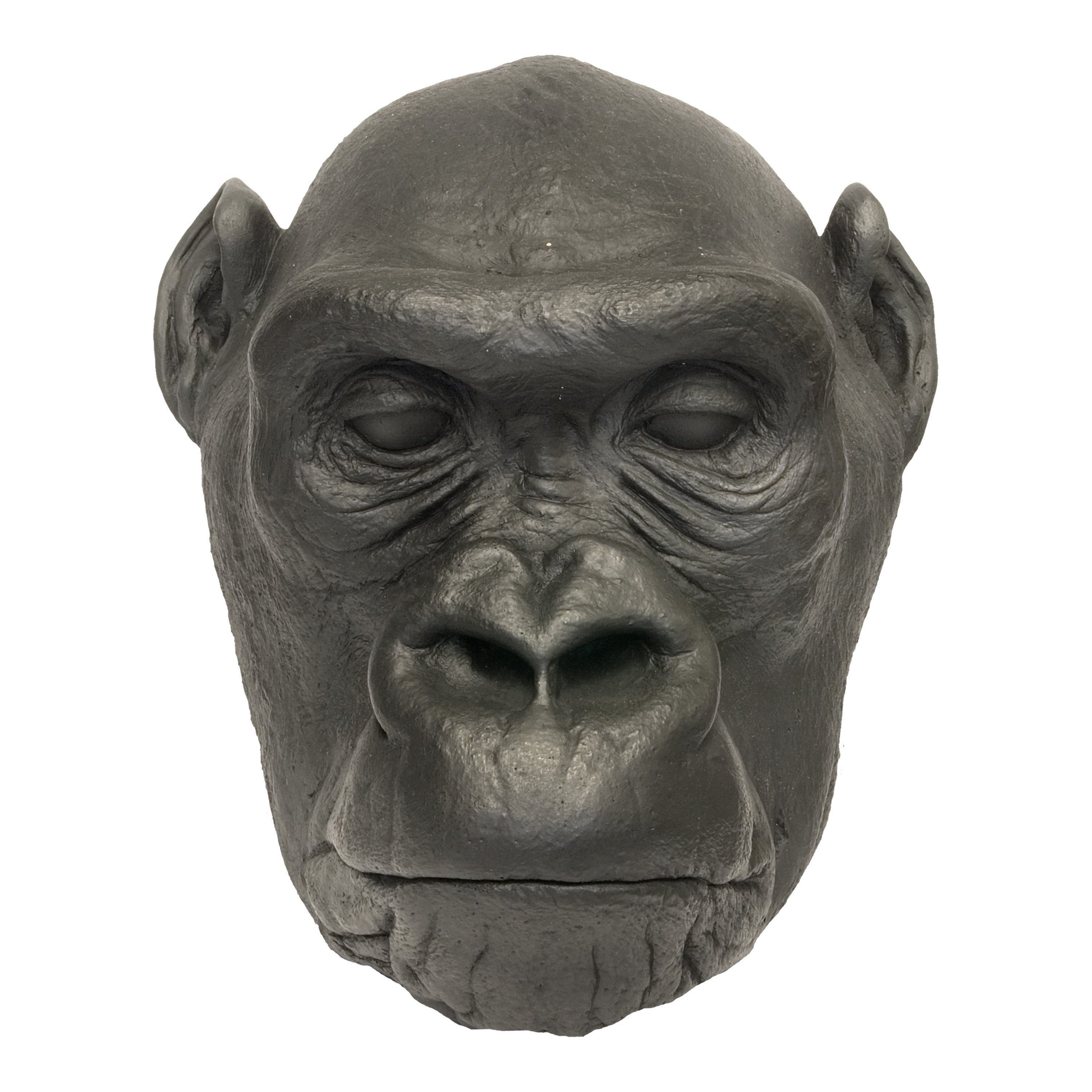 Replica Lowland Gorilla Female Face Cast - Lifelike Primate Skull Sculpture for Educational Displays, Museum Exhibits & Wildlife Decor