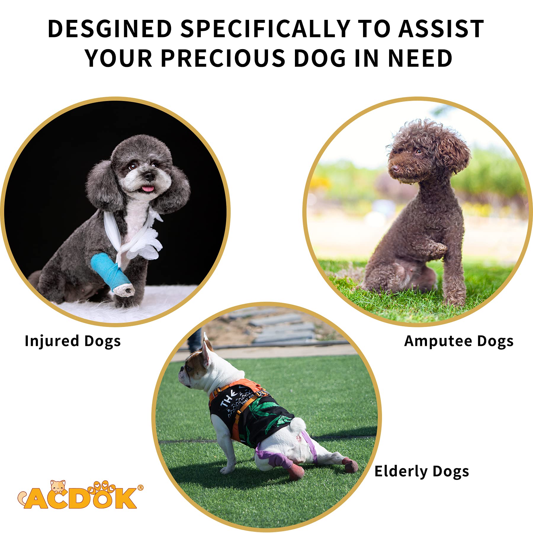 Dog Lift Harness - Full Body Support & Recovery Sling Vest for Senior, Injured & Disabled Dogs - Helps with Arthritis, Hip Dysplasia & Mobility Issues - Small Size in Yellow - Perfect for Post-Surgery Care & Daily Walks