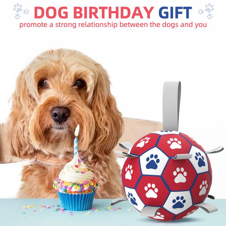 Durable 6-Inch Dog Soccer Ball with 9 Nylon Straps - Interactive Tug of War Toy for Small & Medium Dogs - Indoor/Outdoor Play - Perfect Birthday Gift for Pets | Great for Fetch, Training & Playtime in Backyard or Park