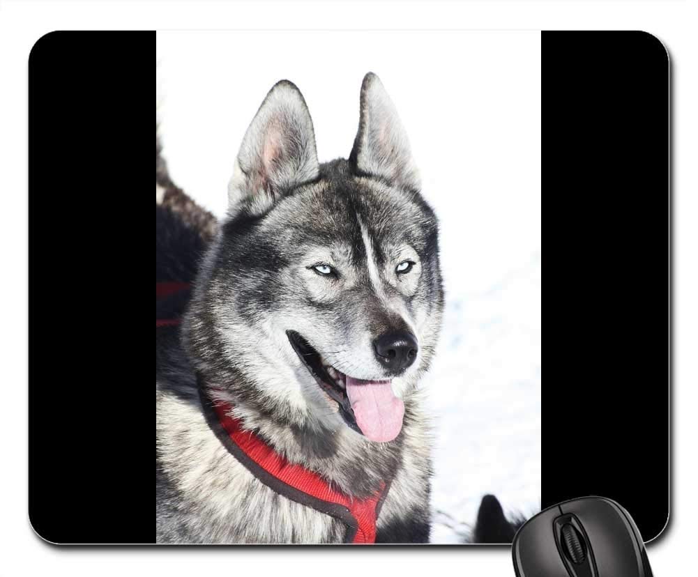 Premium Gaming Mouse Pad with Non-Slip Base - Large Extended Mouse Mat Featuring Husky Dog & Alps Winter Mountain Design - Perfect for PC Gaming, Office Work, and Home Computer Setup
