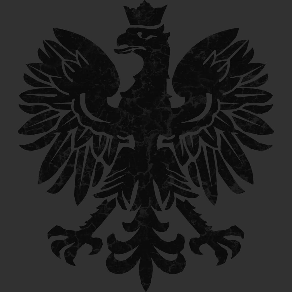 Snazzygaz Polish Eagle Black Halftone Graphic T-Shirt for Men | Patriotic American Apparel | Perfect for Independence Day & Polish Heritage Events