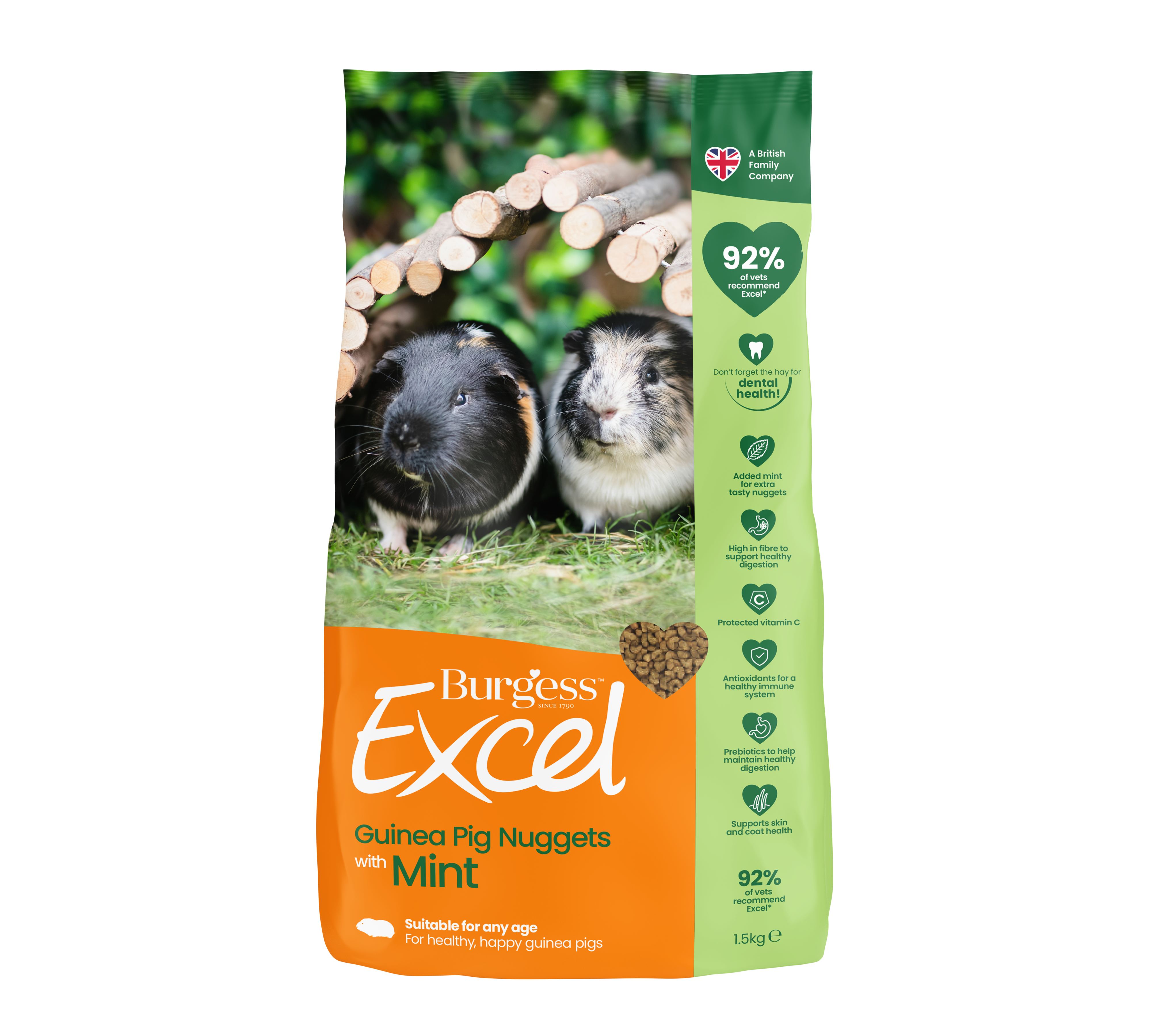 Burgess Excel Guinea Pig Food Nuggets with Mint – 1.5KG Healthy Natural Diet for Small Pets – Perfect for Daily Feeding & Digestive Health