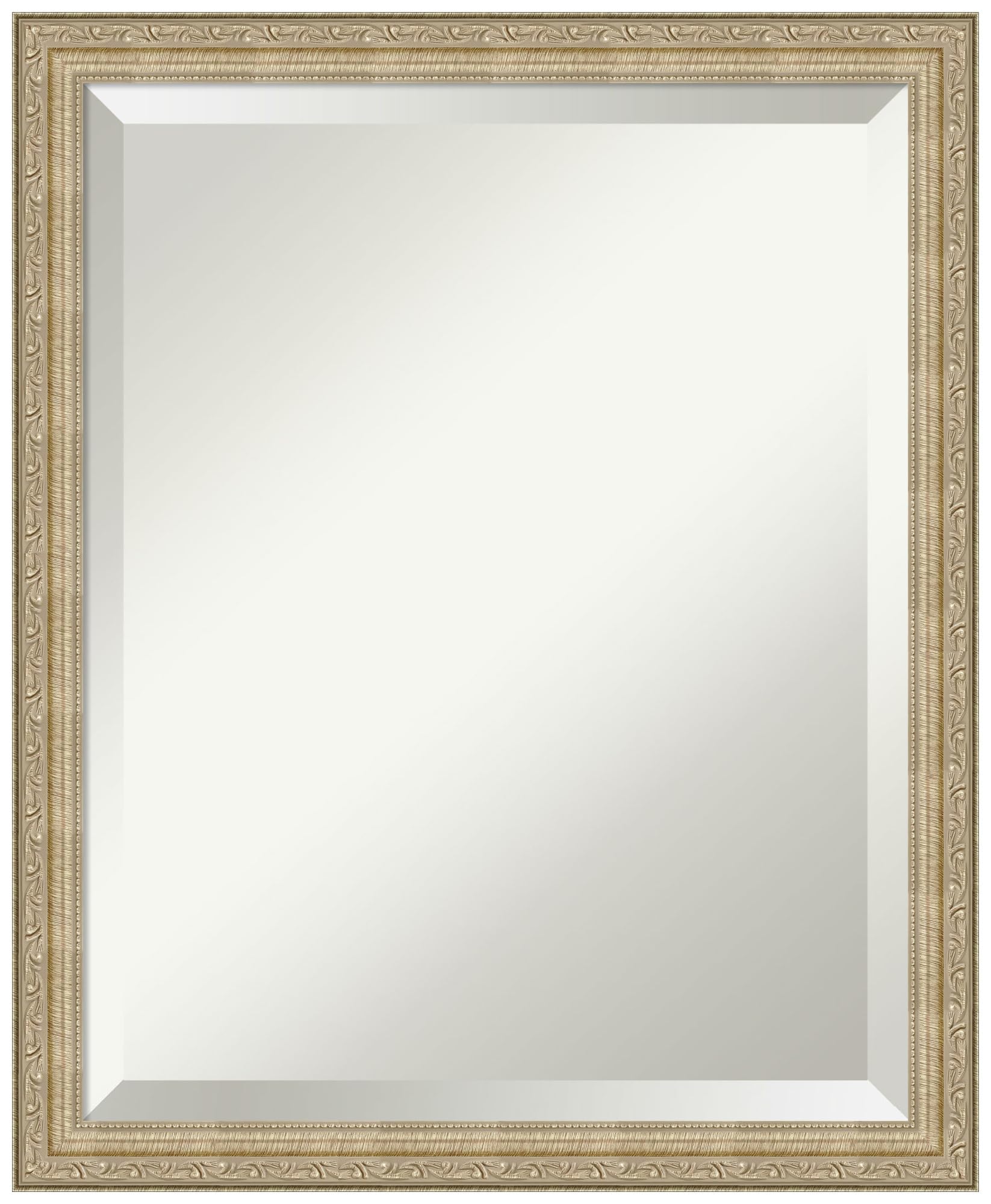 Amanti Art 22x18 Inch Champagne Wall Mirror - Traditional Beveled Edge Frame for Bathroom & Living Room Decor - Hangs Horizontally or Vertically - Perfect for Vanity, Entryway, and Bedroom Wall Decor