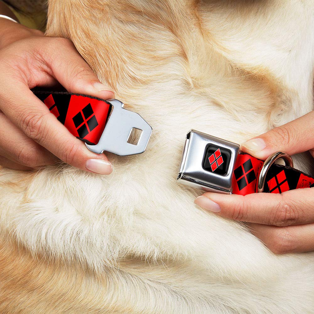 Buckle-Down Harley Quinn Diamond Blocks Dog Collar - 1.5