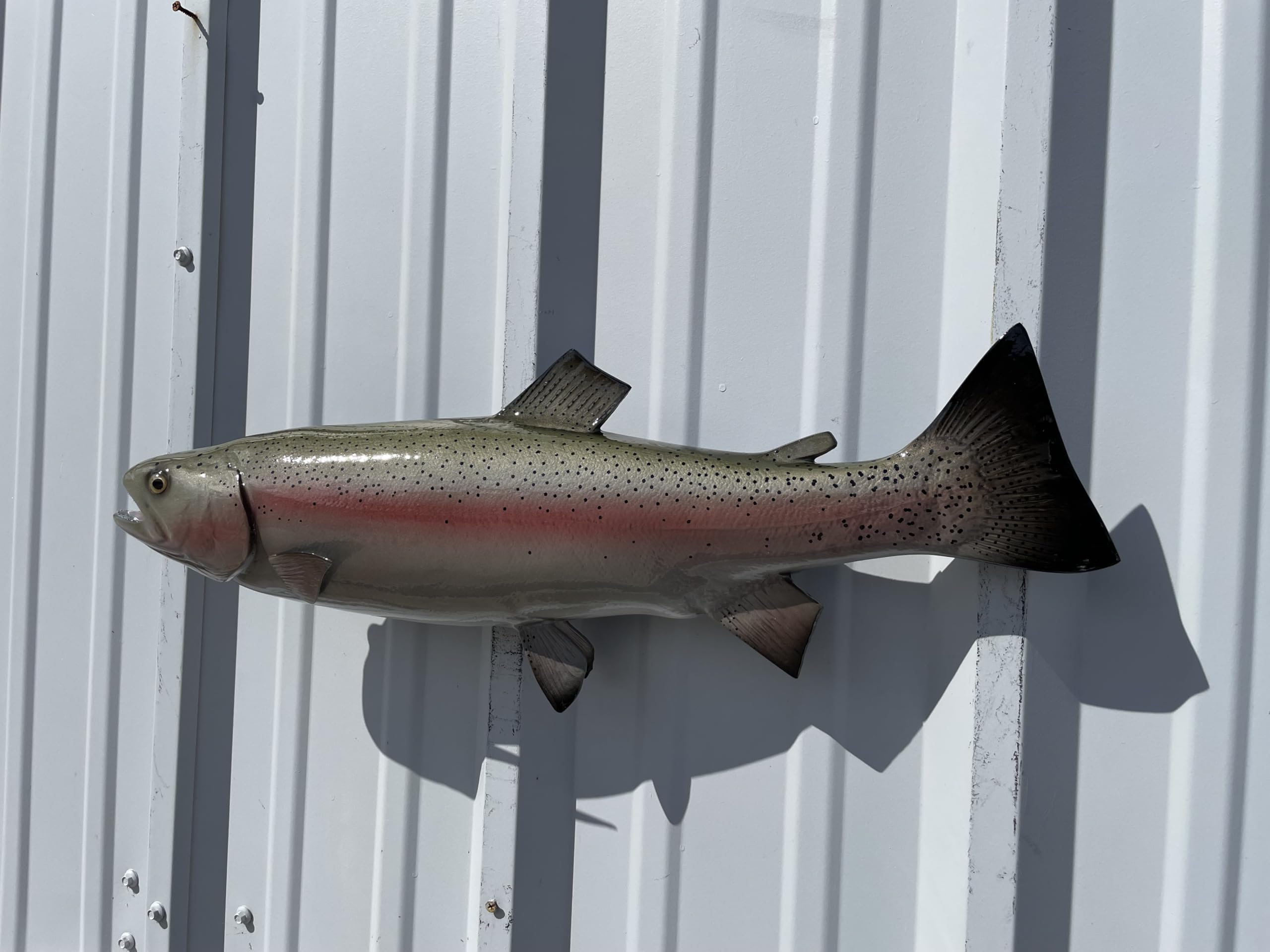 Trout Fish Mount Replicas - Lifelike Wall Decor for Home & Office - Indoor/Outdoor Durable Display - Perfect for Fishing Enthusiasts & Cabin Decor