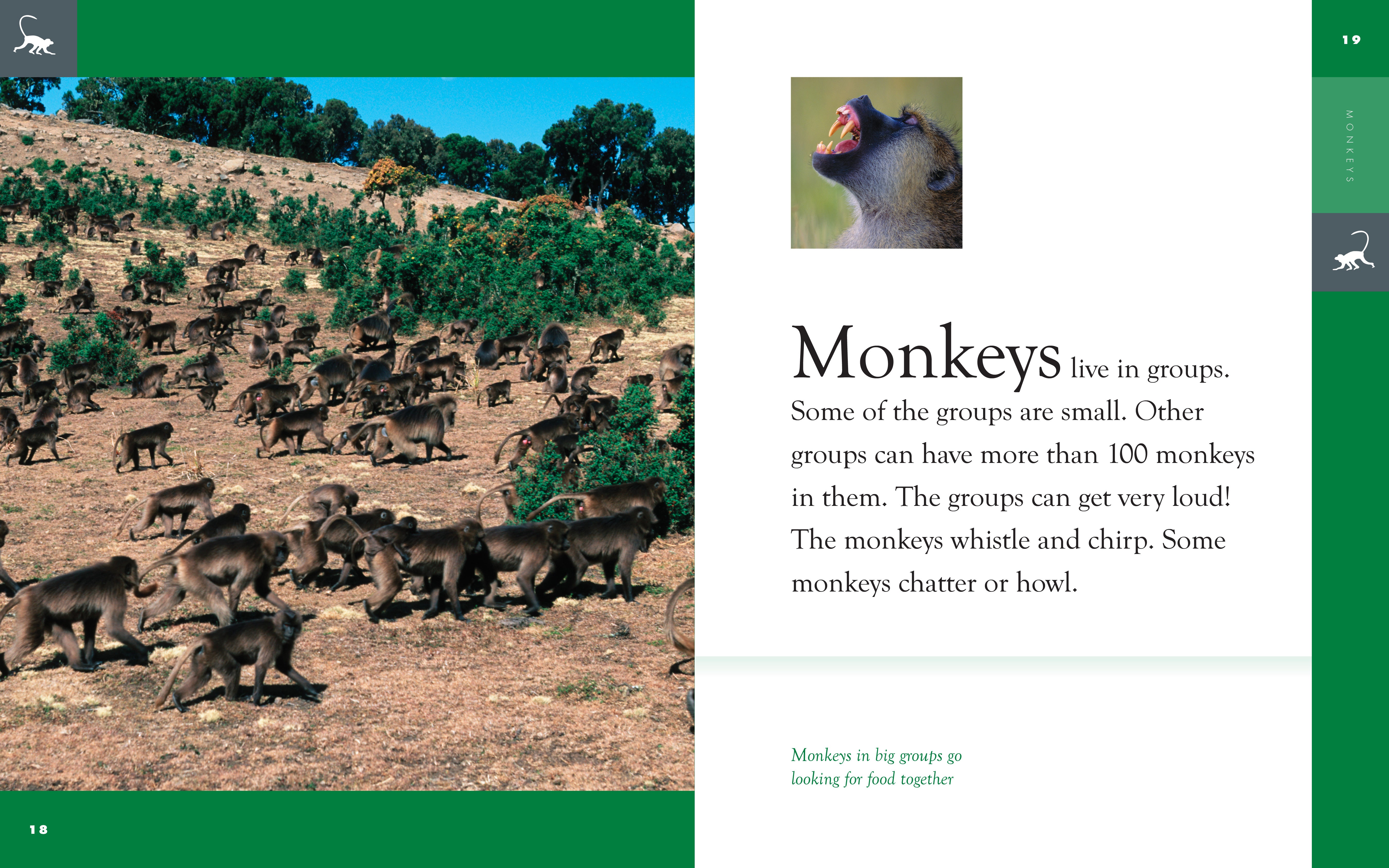 Amazing Animals (2014): Monkeys - Educational Wildlife Documentary for Kids & Nature Lovers - Perfect for Classroom Learning & Family Movie Nights