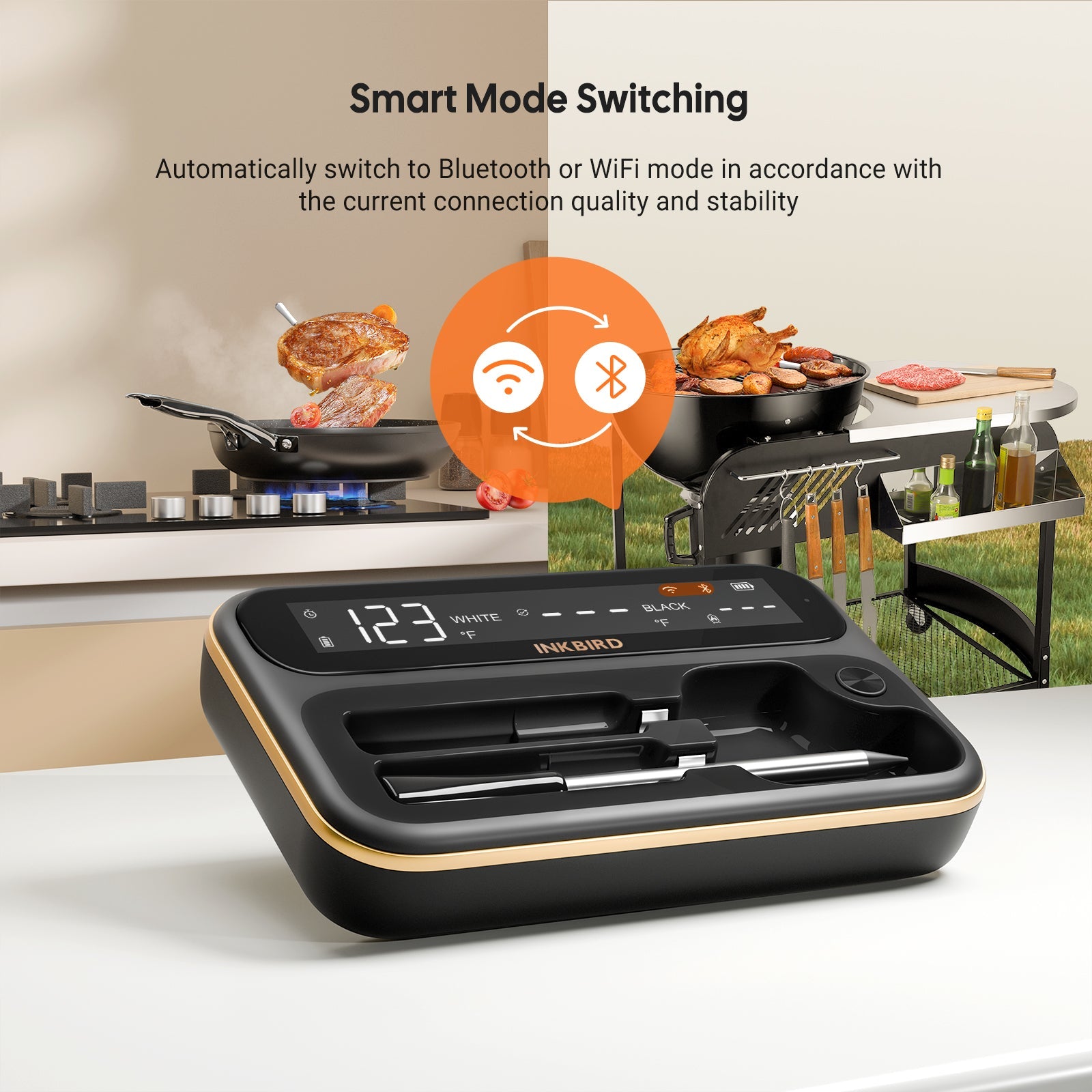 Wireless Meat Thermometer with WiFi & Bluetooth - Digital Cooking Thermometer for Grilling, Smoking, BBQ - INT 12 BW - Perfect for Indoor & Outdoor Cooking
