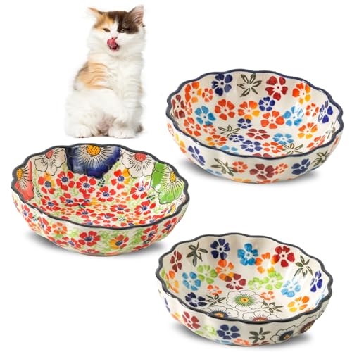 3 color cat bowl