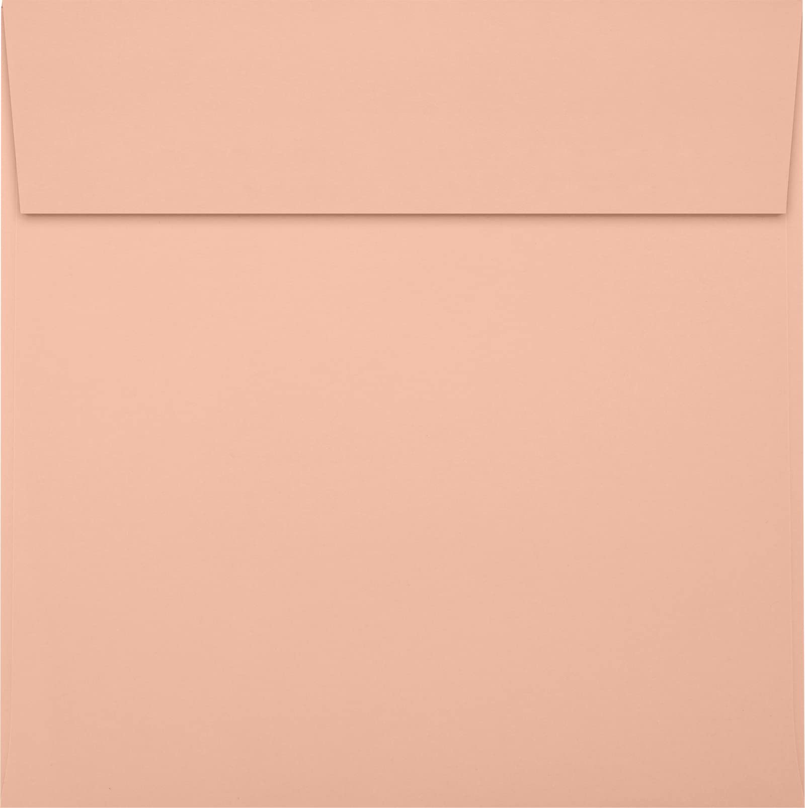 Premium LUXPaper Square Invitation Envelopes 6