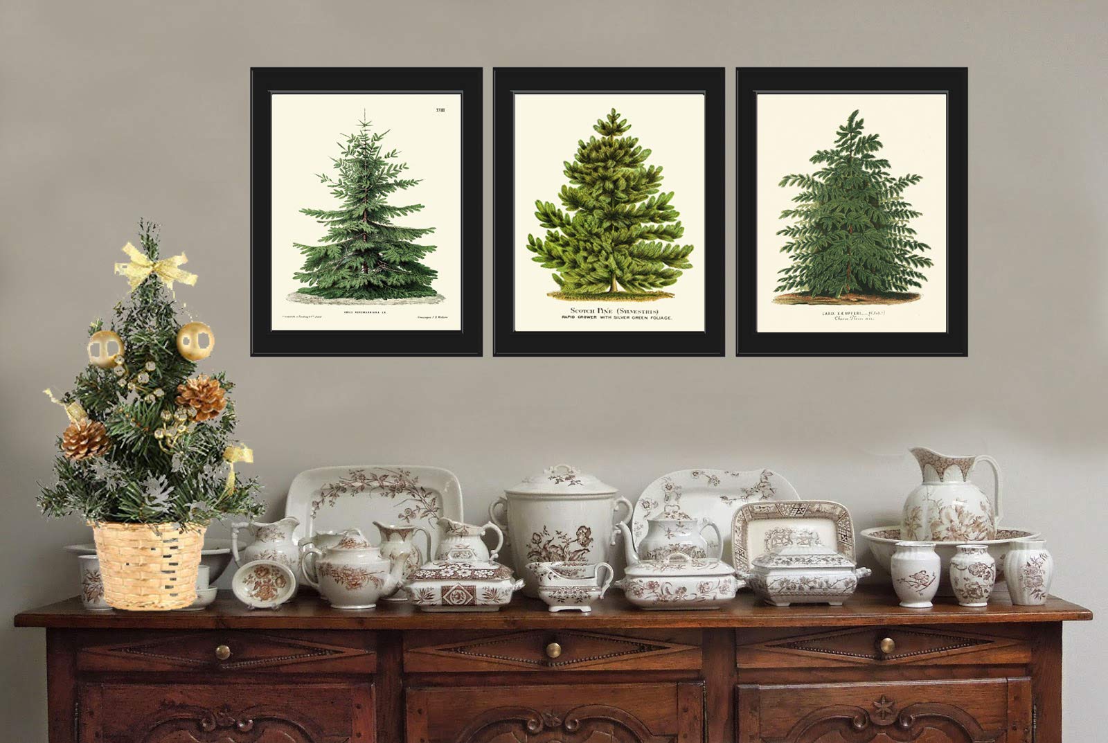 Pine Tree Christmas Wall Art - Set of 3 Botanical Prints (Nordmann Fir, Norway Spruce, Japanese Larch) for Holiday Home Decor | Perfect for Living Room, Bedroom & Office Wall Decoration