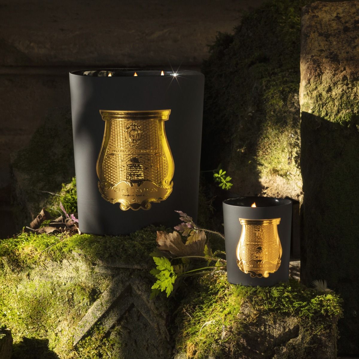 Cire Trudon Mary Scented Candle - Cedar & Gaiac Wood Fragrance, Luxury Home Decor for Relaxation & Aromatherapy | Perfect for Bedroom, Living Room & Spa Ambiance