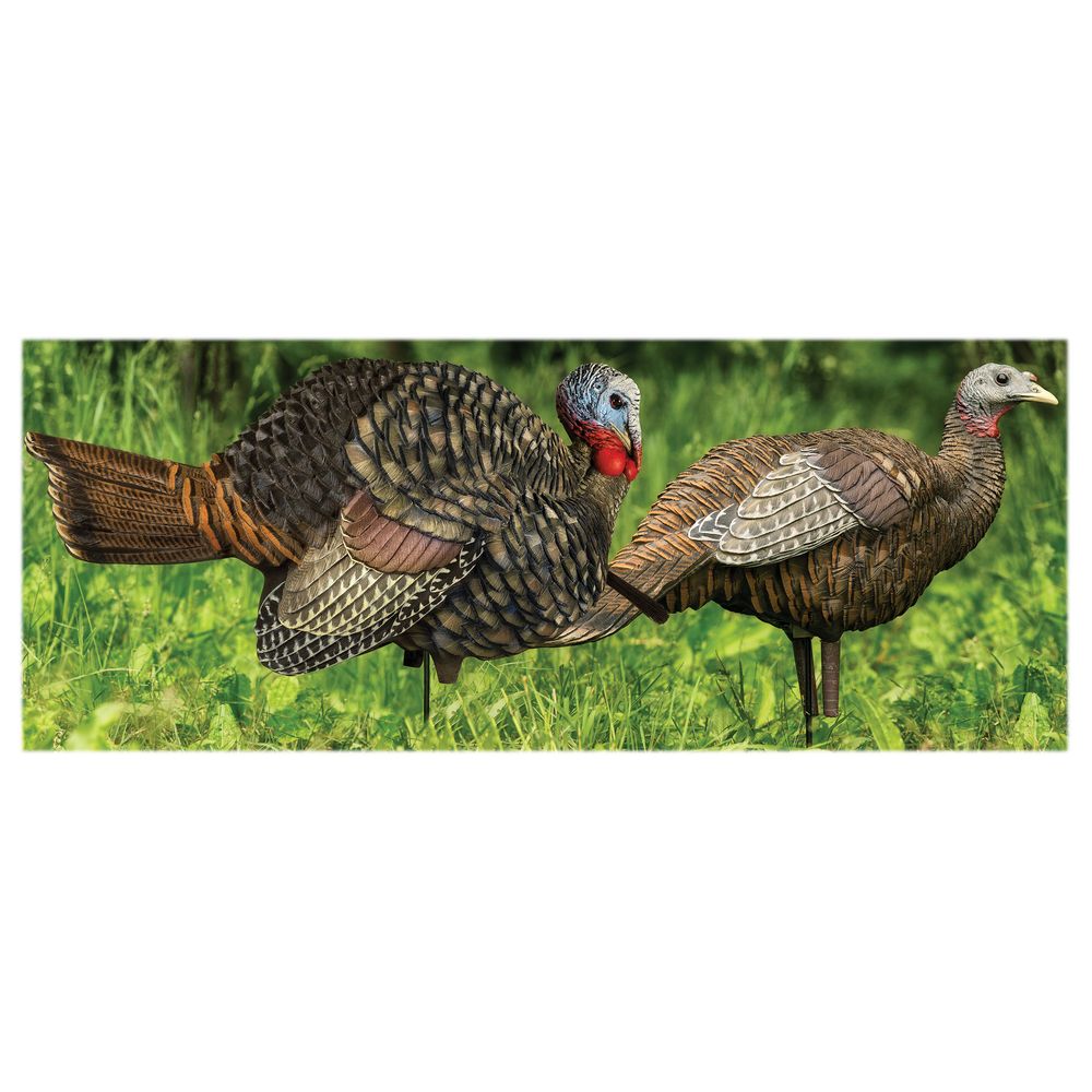 Avian X AVX AVX8014 LCD 1/2 Strut Jake & Breeder Hen Turkey Decoy Combo - Realistic Hunting Decoys for Spring Turkey Season