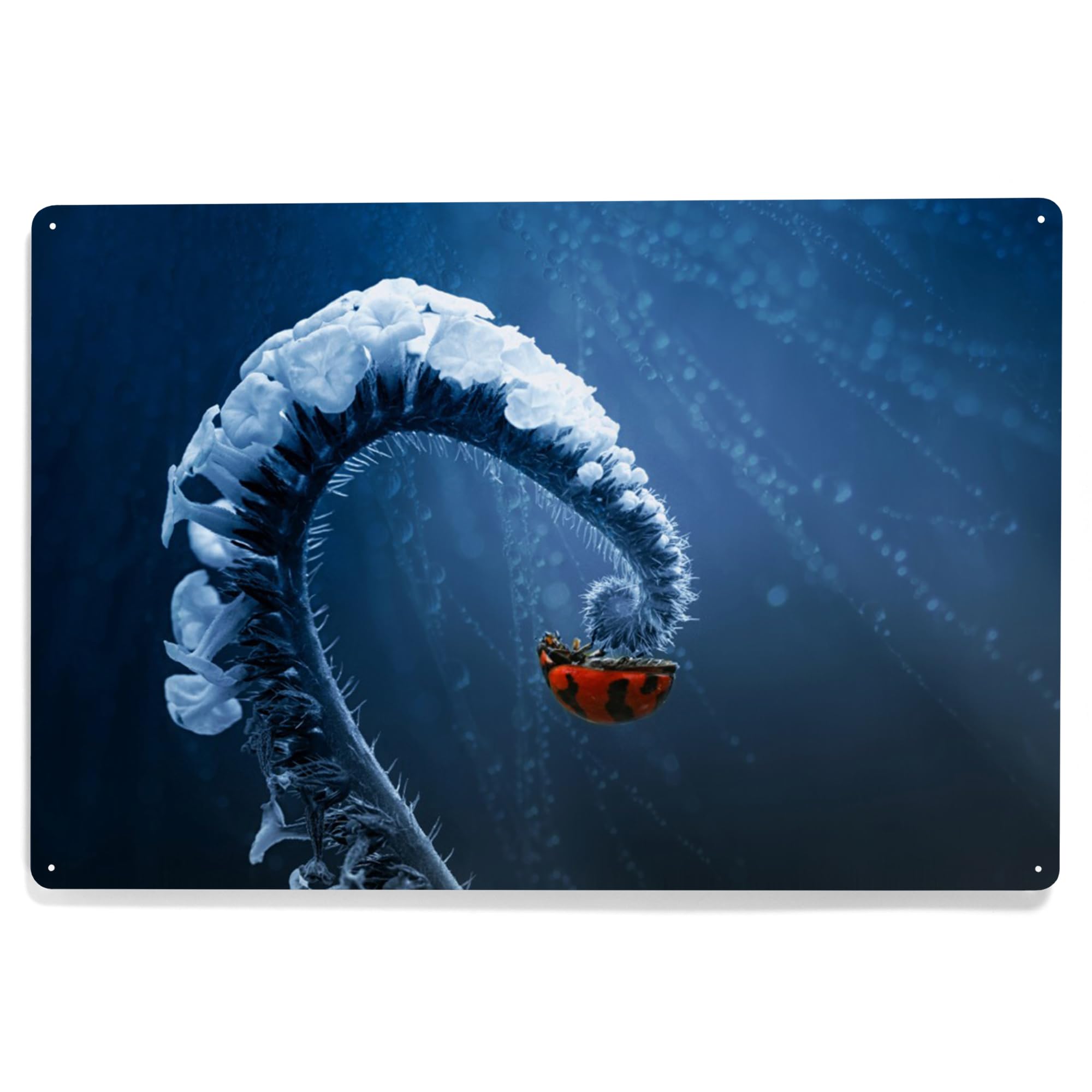 Lantern Press 12x18 Inch Vintage Metal Wall Sign - Ladybug on Frozen Fern Nature Art for Home, Office & Garden Decor | Perfect for Living Room, Patio or Outdoor Spaces