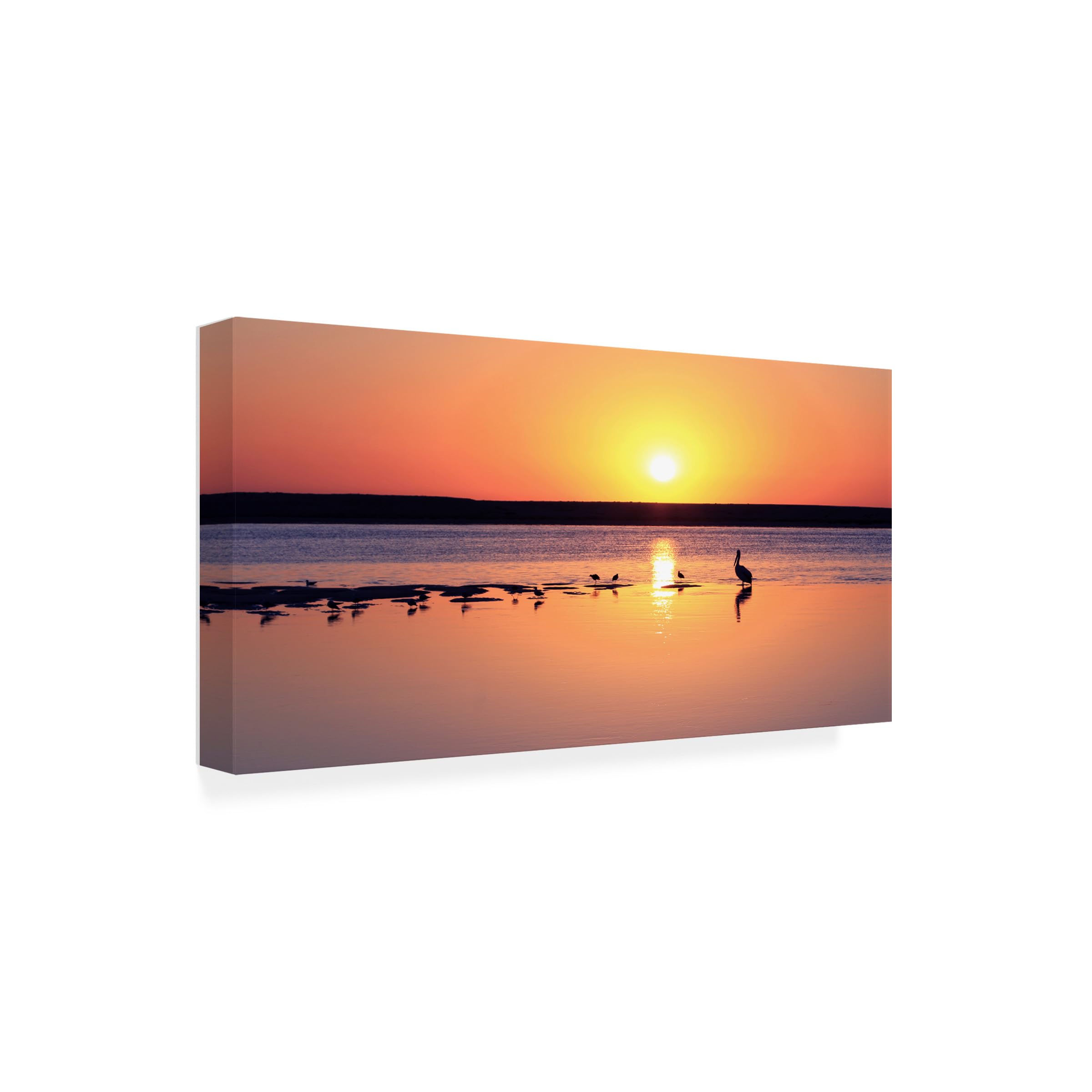 Trademark Fine Art 'Sunrise Watchers' Canvas Wall Art by Beata Czyzowska - Stunning Landscape Painting for Living Room, Bedroom & Office Decor