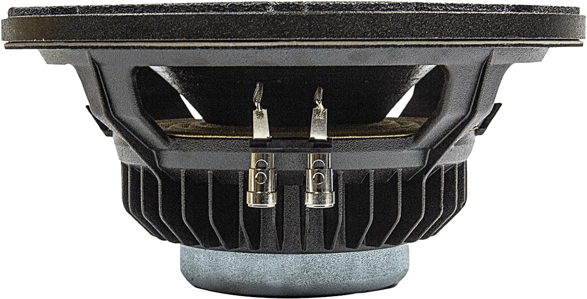 Eminence CannaBass CB3010N-8 10-Inch 450W RMS Bass Guitar Speaker - 900W Peak Power, 8 Ohm Neodymium Magnet, 3-Inch Voice Coil, Oil Vented Fiberglass - Perfect for Live Performances & Studio Recording