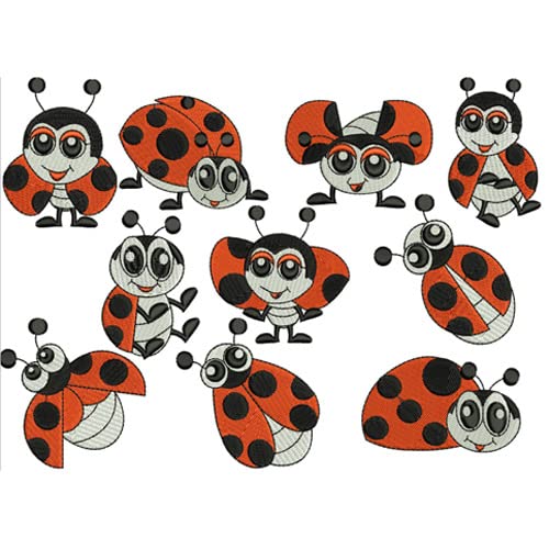LADYBUGS 1