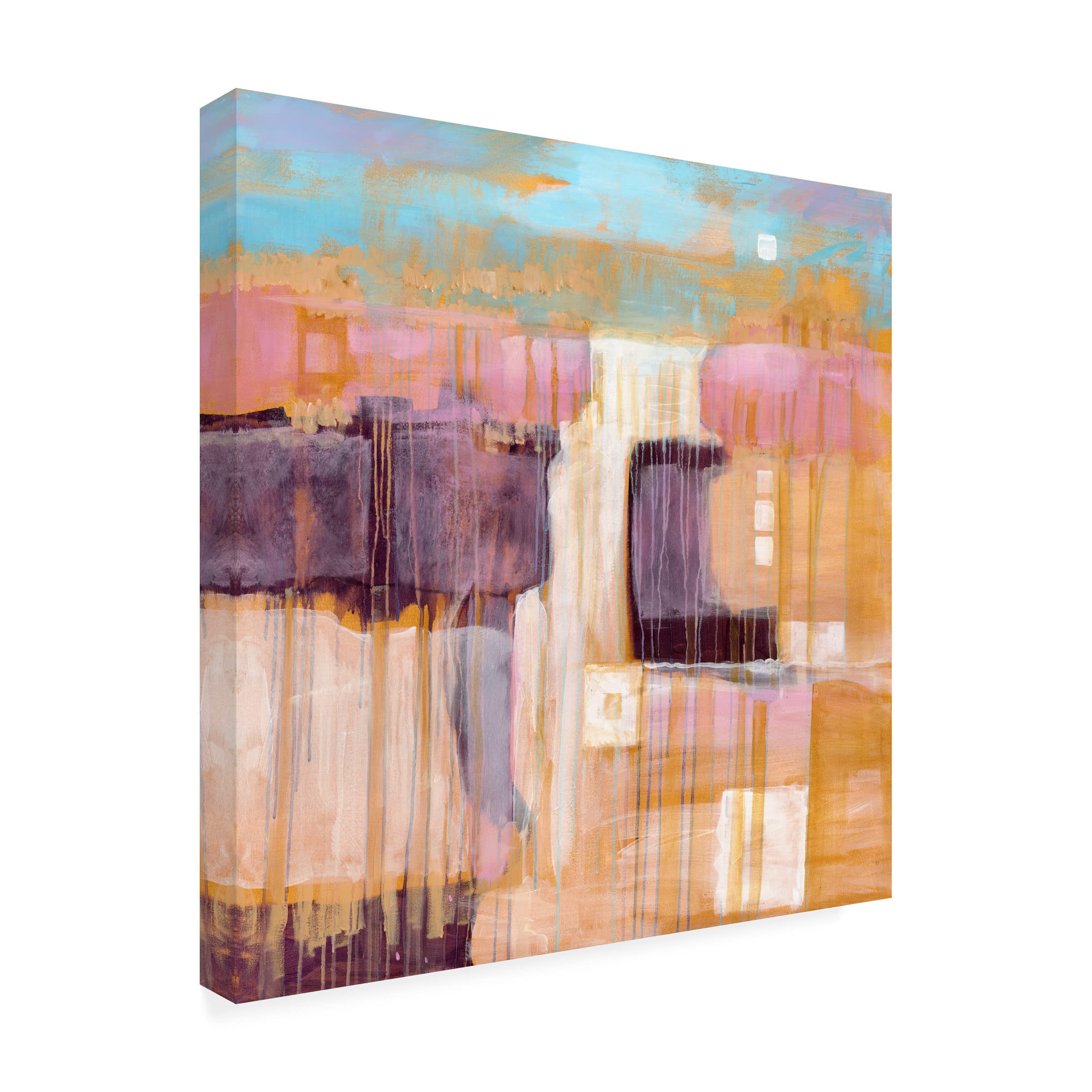Trademark Fine Art 'Terre Cotta Dunes I' Canvas Wall Art Print by Sue Riger - Desert Landscape Painting for Living Room, Bedroom & Office Decor