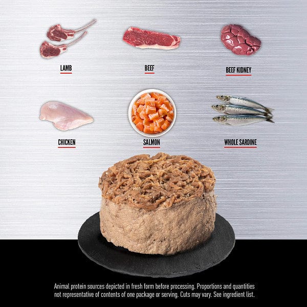 Orijen Regional Red Entrée Grain-Free Canned Cat Food - High Protein, Natural Ingredients for Adult Cats - Perfect for Indoor & Outdoor Felines