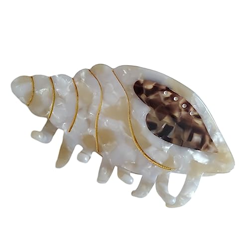 Brown Spiral Shell