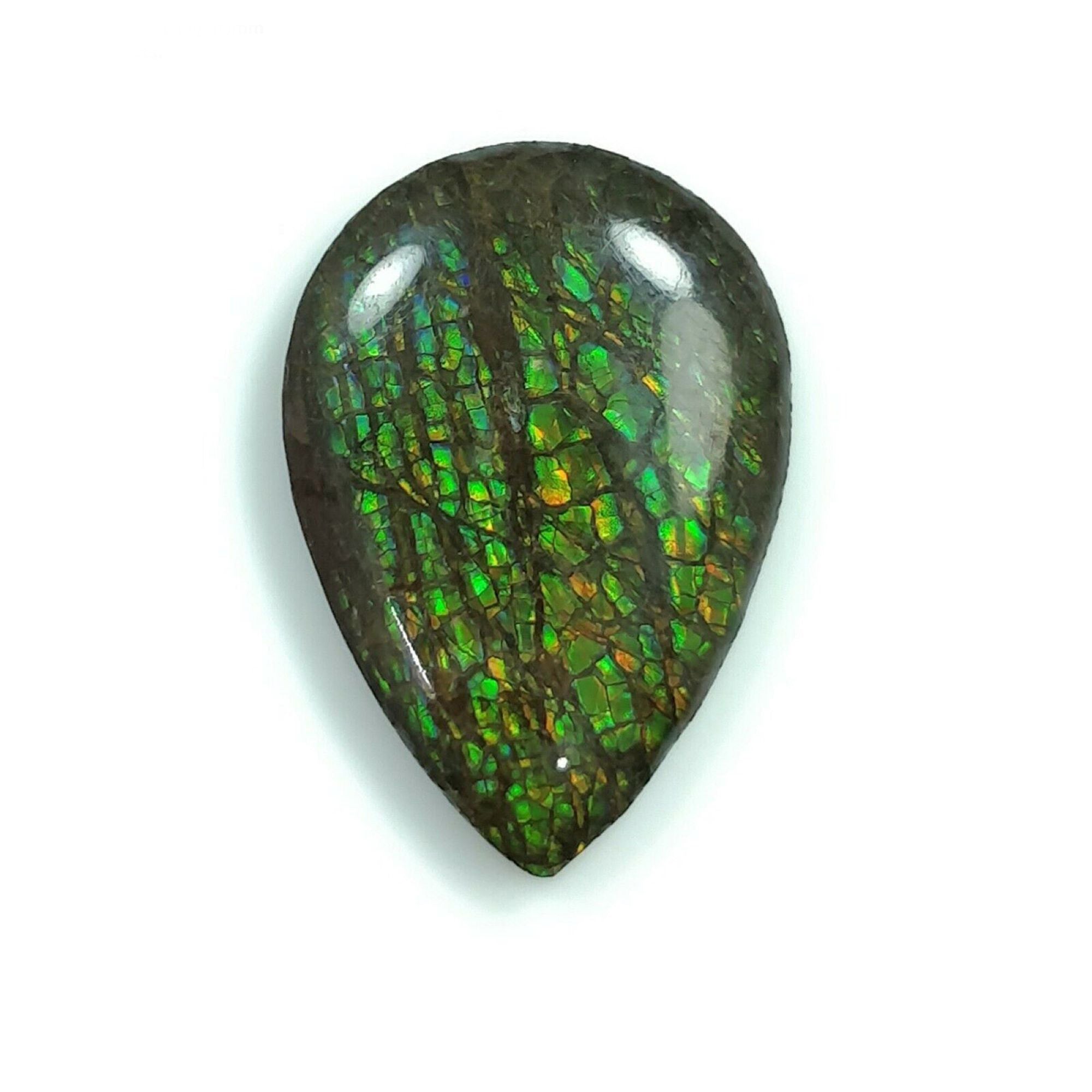 Natural AMMOLITE Gemstone Cabochon - Bi-Color Fossilized Shell, 17.5x25mm & 22x16mm Uneven Shape for Jewelry Making, Collectors & Healing Crystals
