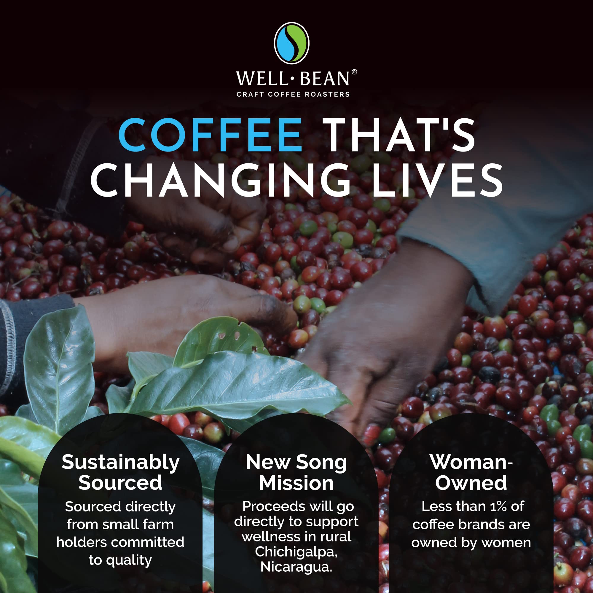 Well-Bean Coffee - Premium Colombian Decaf Whole Bean Coffee, Swiss Water Processed, Light Roast, Vegan Friendly, 12 oz - Perfect for Home Brewing, Office Use & Gifts