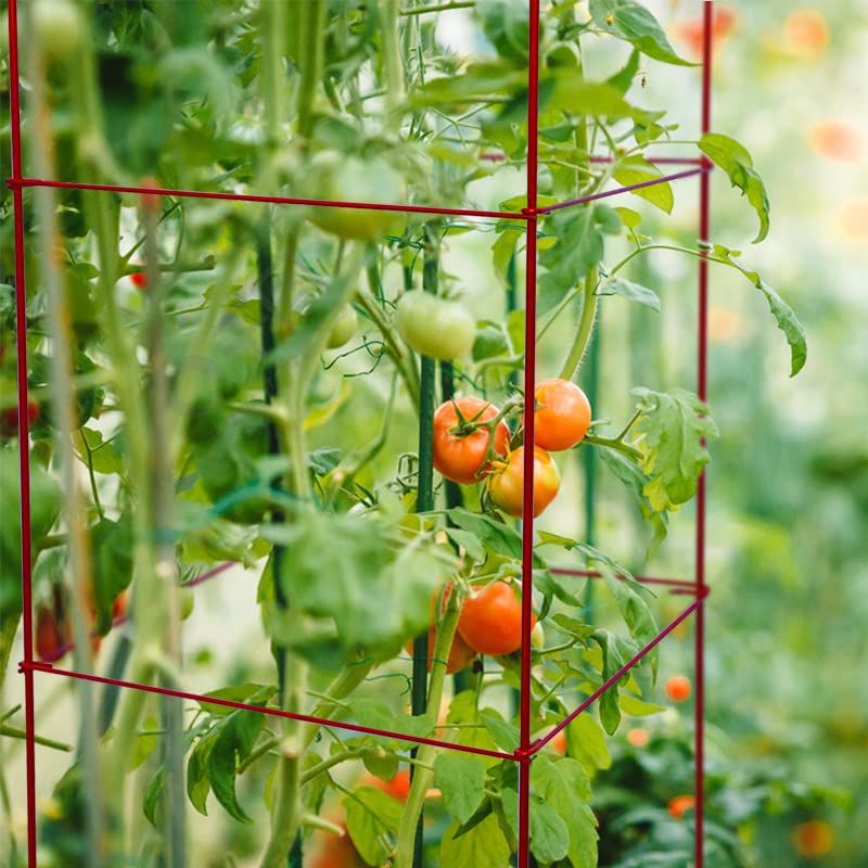 Heavy Duty Tomato Cages Plant Stand with 164 Feet Twist Ties - Sturdy Garden Plant Supports for Tomatoes, Cucumbers & Climbing Vegetables | Perfect for Home Gardening, Backyard Farms & Greenhouse Use