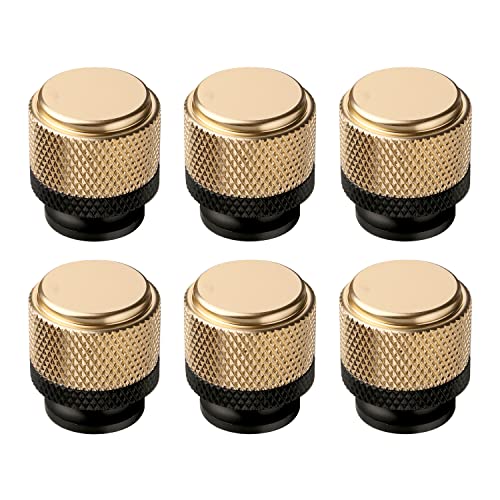 Gold and Black Knob