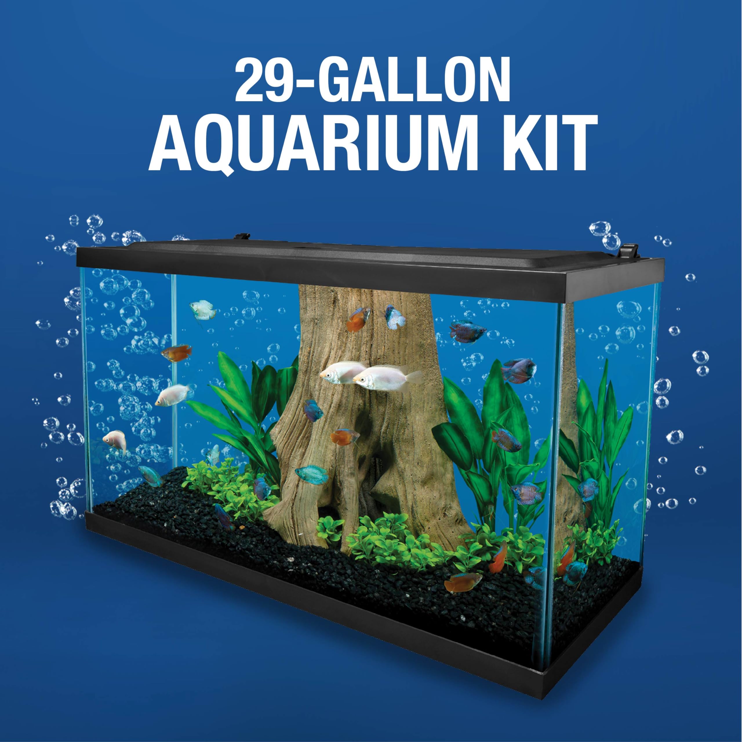 Tetra Complete LED Aquarium Kit 29 Gallon with LED Lighting, Filtration System, Heater & Accessories - Perfect for Home, Office or Classroom Fish Tank Setup