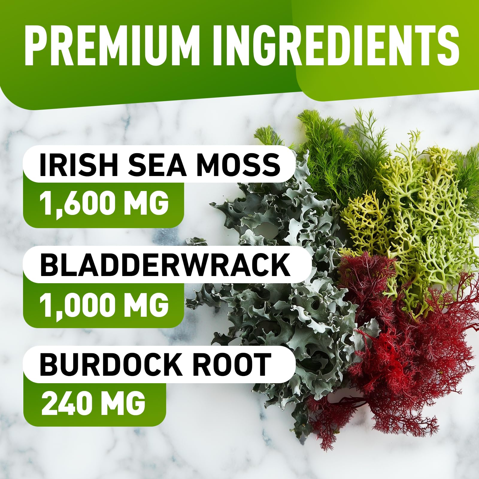 Organic Sea Moss Gummies for Adults & Kids - Wildcrafted Irish Sea Moss with Bladderwrack & Burdock Root - 60 Vegan Gummy Supplements for Immune Support & Digestion - Perfect for Daily Wellness & Family Health