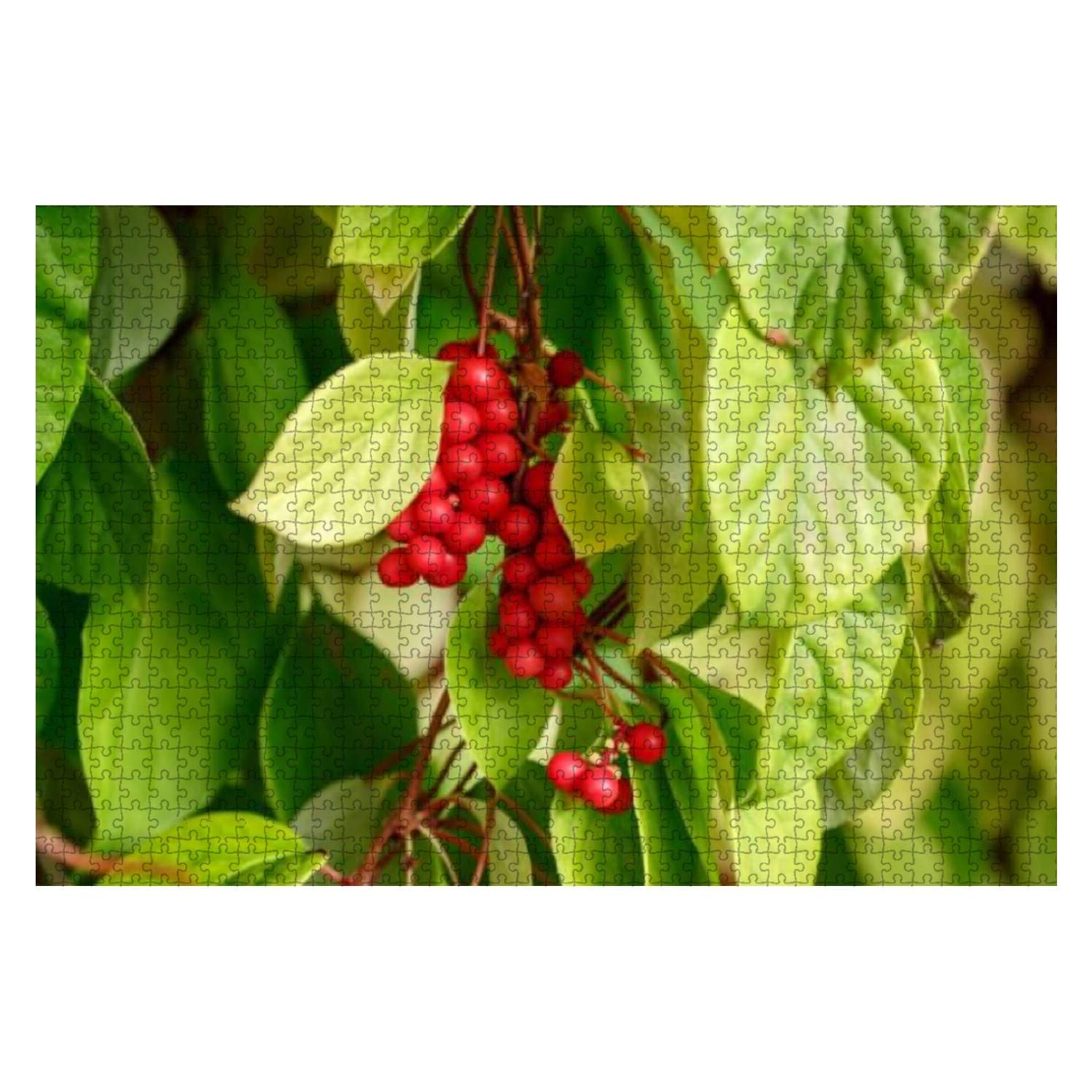 1000 Piece Wooden Jigsaw Puzzle - Schisandra Chinensis (Five Flavor Berry) Branch with Fresh Red Berries - Educational Brain Teaser for Adults & Kids - Stress Relief Toy for Family Game Night & Classroom Activities