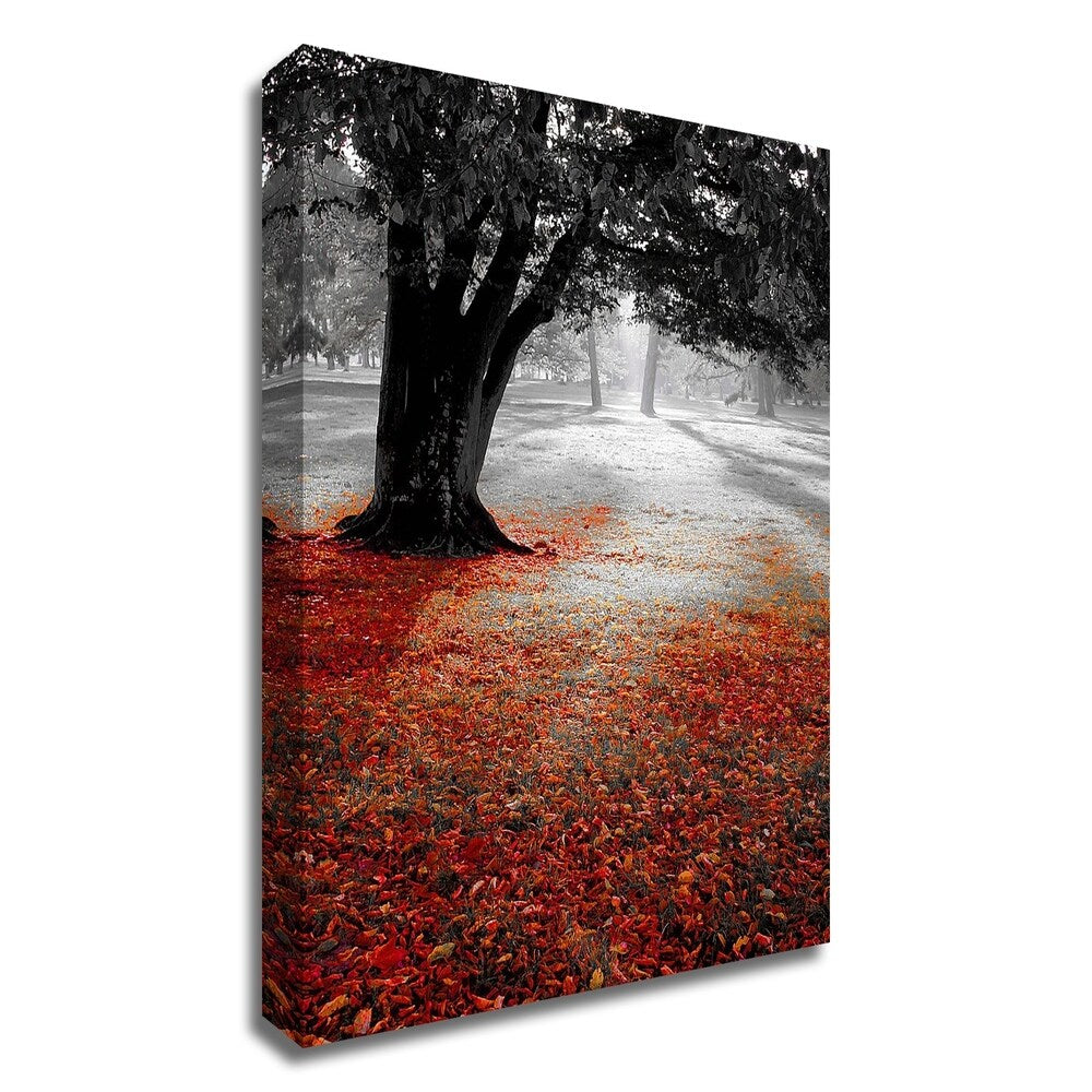 Autumn Contrast Canvas Print by PhotoINC Studio - Ready to Hang Wall Art for Living Room, Bedroom & Office Decor