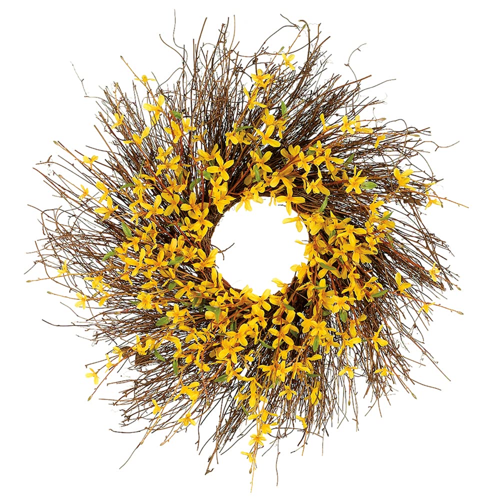 24 Inch Forsythia Wreath with Natural Twig Base - Vibrant Yellow Spring Floral Decor (Pack of 2) - Perfect for Front Door, Easter, Mother's Day & Spring Home Decor