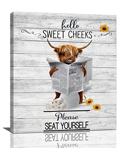 Highland Cattle