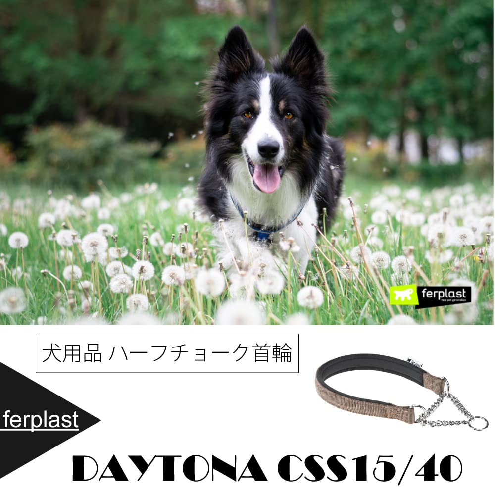 Farplast Daytona Half Chalk Collar for Dogs - Adjustable Brown Leather Dog Collar with Metal Buckle, Size 15-40cm - Perfect for Training, Walking & Outdoor Adventures