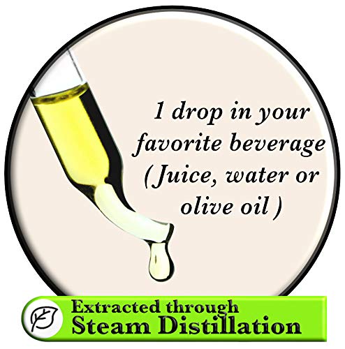 Premium Fulvic Minerals & Wild Oregano Oil Drops - Organic Fulvic Humic Acid Supplement with High-Potency Mediterranean Oregano Essential Oil - Supports Immune System, Digestion & Detox - Perfect for Daily Wellness & Natural Health Routines