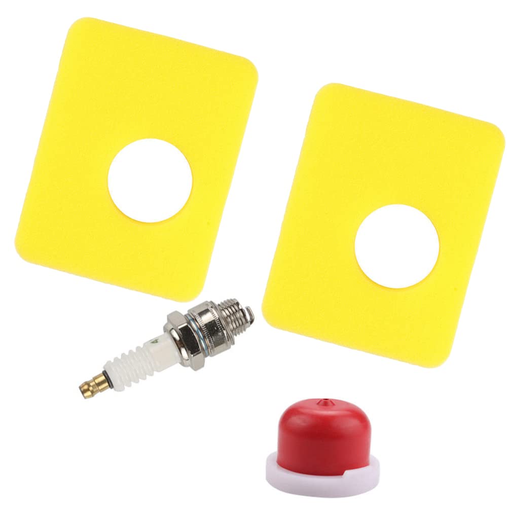 Briggs & Stratton 300e 450e Series Engine Air Filter & Spark Plug Kit (799579) - Replacement Parts for Lawn Mower, Tiller & Outdoor Power Equipment