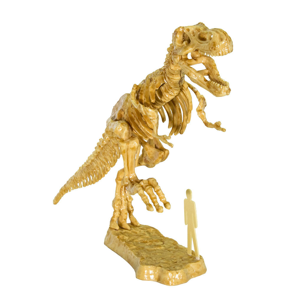 3D T. Rex Dinosaur Excavation Kit - STEM Educational Fossil Digging Toy for Kids - Perfect for Science Projects & Birthday Gifts