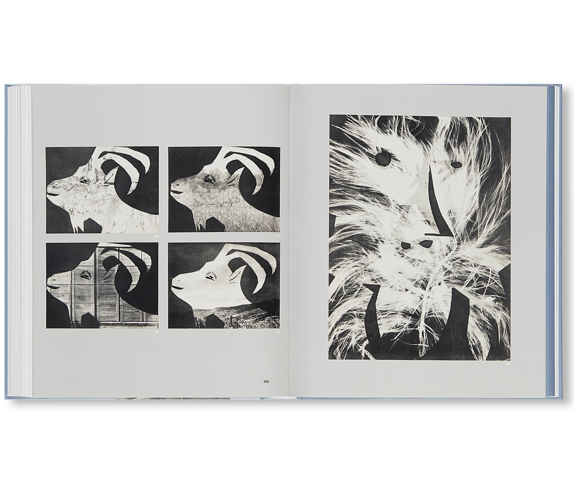 Pablo Picasso Cut Papers - Original Artwork for Home Decor, Office & Gift Ideas | Unique Wall Art & Collectibles