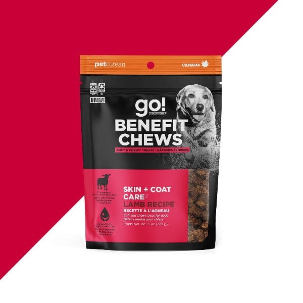 Go! Solutions Skin & Coat Care Lamb Dog Treats - Omega-3 Rich Chews for Healthy Fur & Skin | Perfect for Daily Supplements & Training Rewards