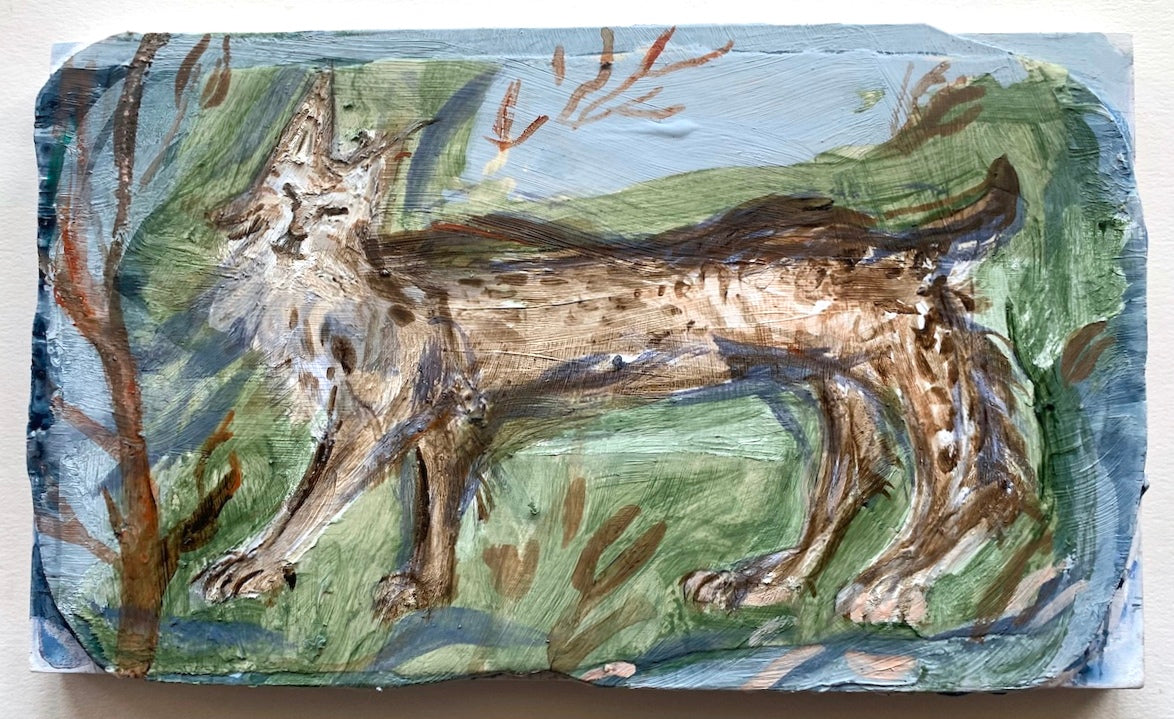 Philippa Beardsley: Bobcat in the House - Wildlife Adventure Book for Kids & Adults - Perfect for Nature Lovers and Bedtime Reading