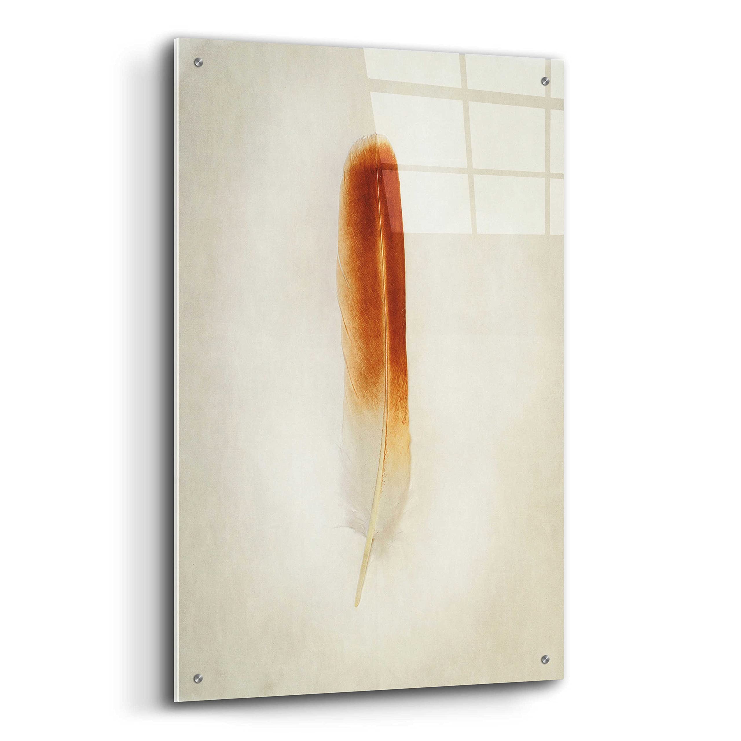 Epic Art 'Feather II' by Debra Van Swearingen - 24x36 Inch Acrylic Glass Wall Decor - Modern Abstract Painting for Living Room, Bedroom & Office Decor