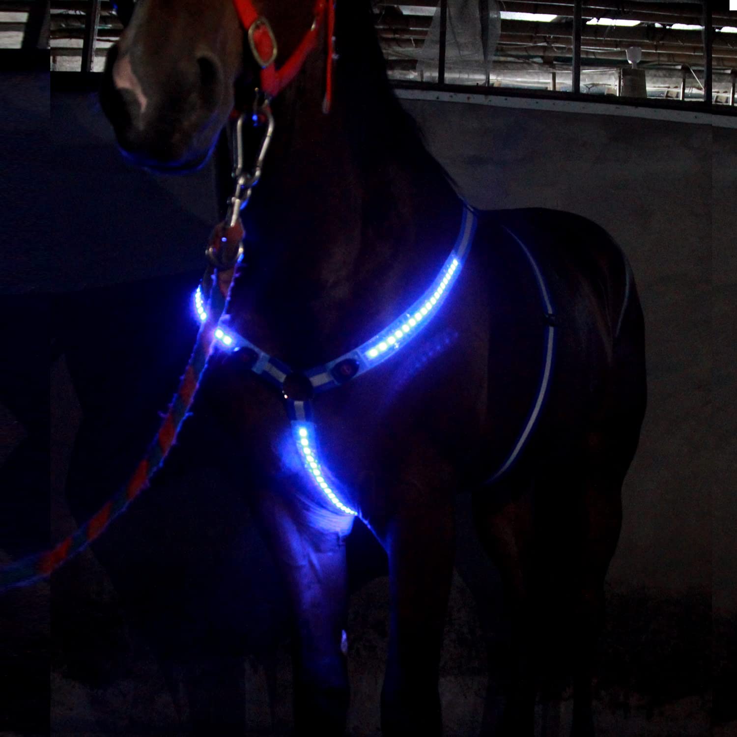 A&K L'YDIA LED Horse Breastplate Collar - USB Rechargeable, 3 Adjustable Lighting Modes, Reflective Elastic Night Flashing Light Bar Harness for Equestrian Show, Horse Riding & Night Safety (Blue)