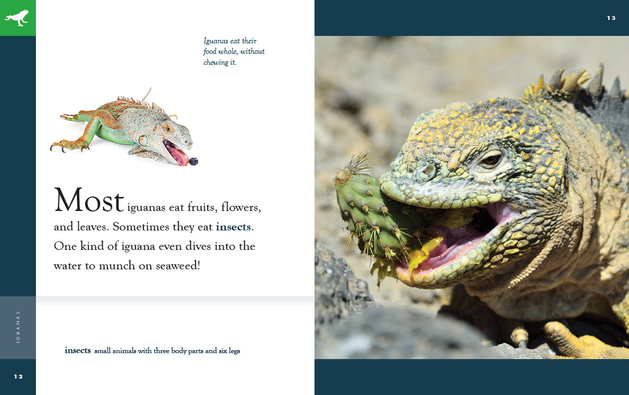 Iguanas Book 9781640265653 - Learn About Iguanas, Care, and Habitat - Perfect for Reptile Lovers and Pet Owners