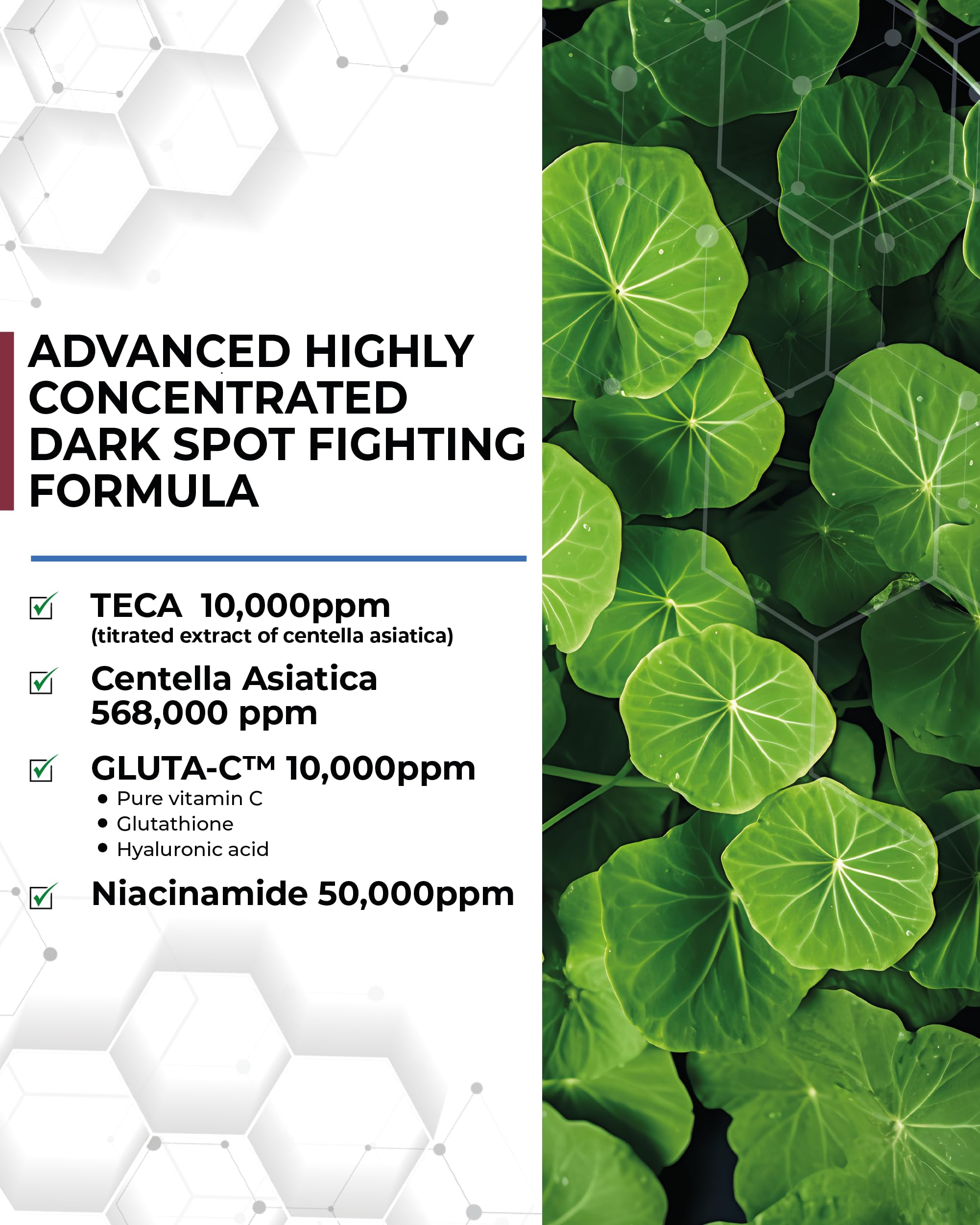 Centellian 24 Expert Serum Set (0.50 fl oz x 3) + Madeca Derma Intensive Face Mask (10pc) - Korean Skincare for Soothing, Hydration & Even Tone with Centella Asiatica, TECA & Madecassoside | Perfect for Daily Skincare Routine & Post-Treatment Recovery