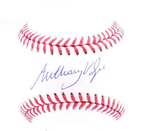 Anthony Volpe Autographed OML Baseball - Official MLB Licensed - Signed Collectible Baseball for Fans - Perfect for Display, Memorabilia Collections, and Yankees Gifts