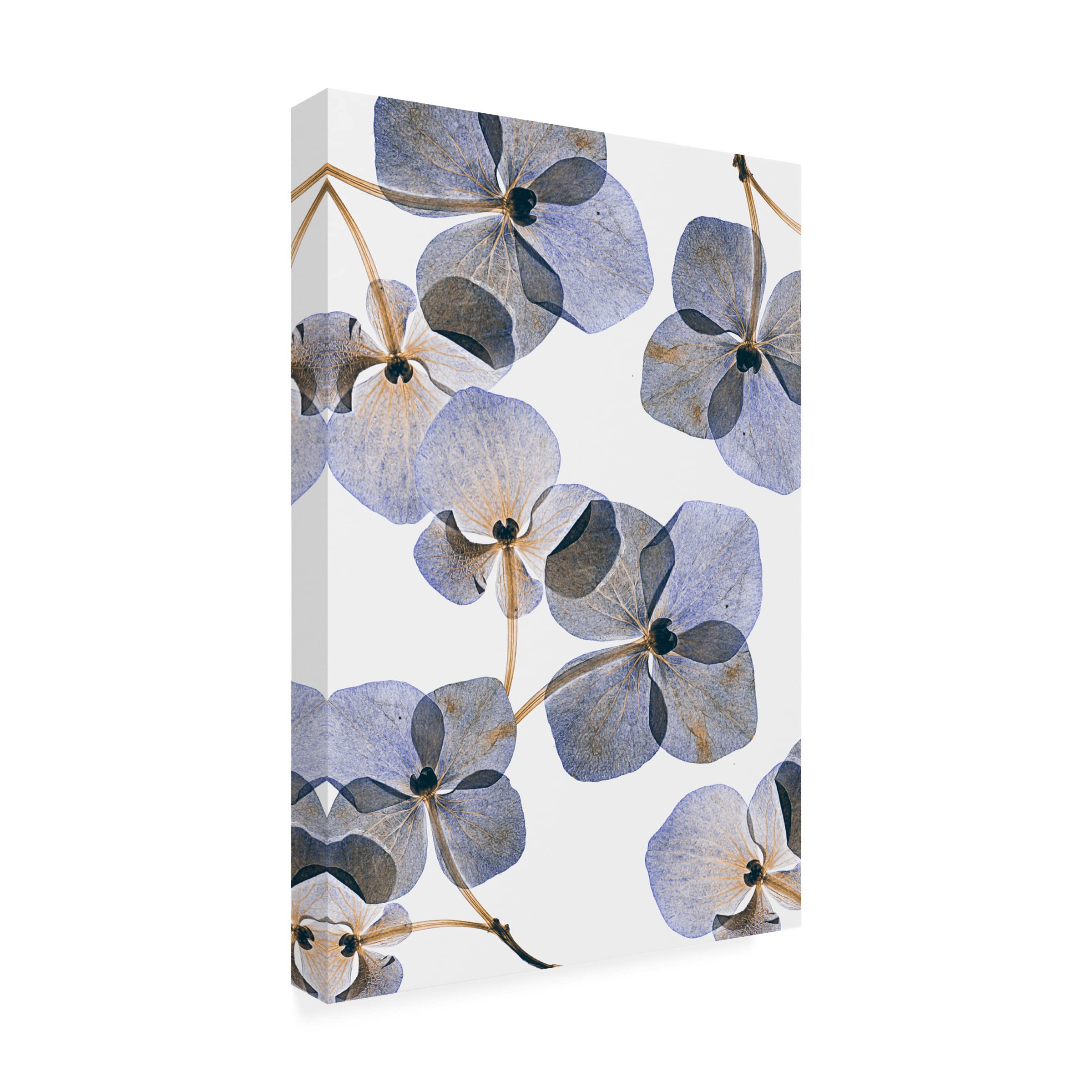 Lenka's 'Botanical 37' Floral Canvas Wall Art Print - Modern Home Decor for Living Room, Bedroom & Office | Trademark Fine Art Collection