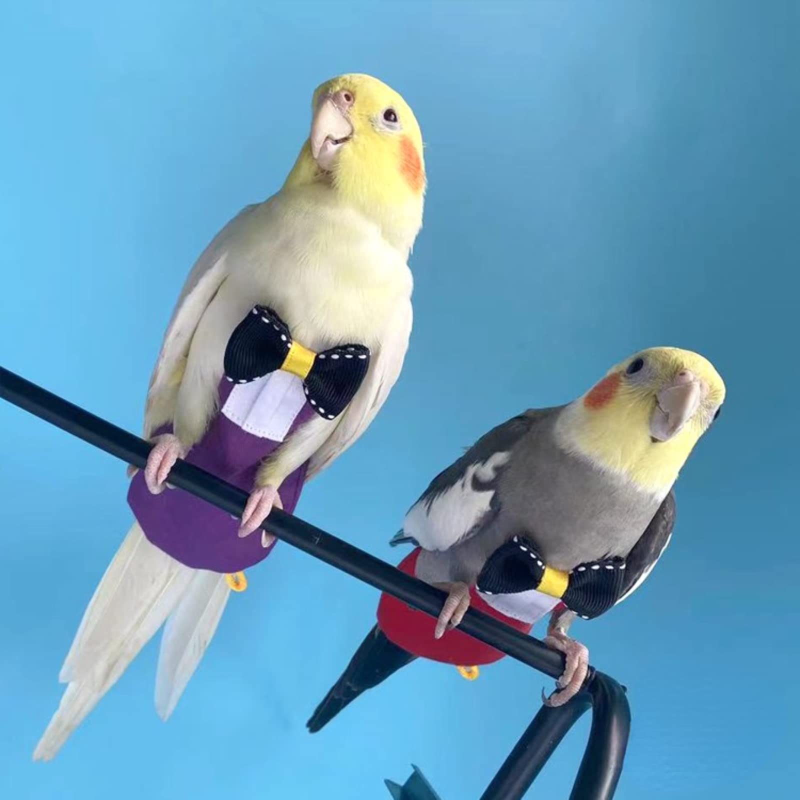 Parrot Diaper Harness & Flight Suit for Small Birds - Adjustable Leash for Cockatiels, Conures, Lovebirds - Soft Washable Bird Training Clothes with Liner (Size S, Purple) - Perfect for Indoor Play, Travel & Potty Training
