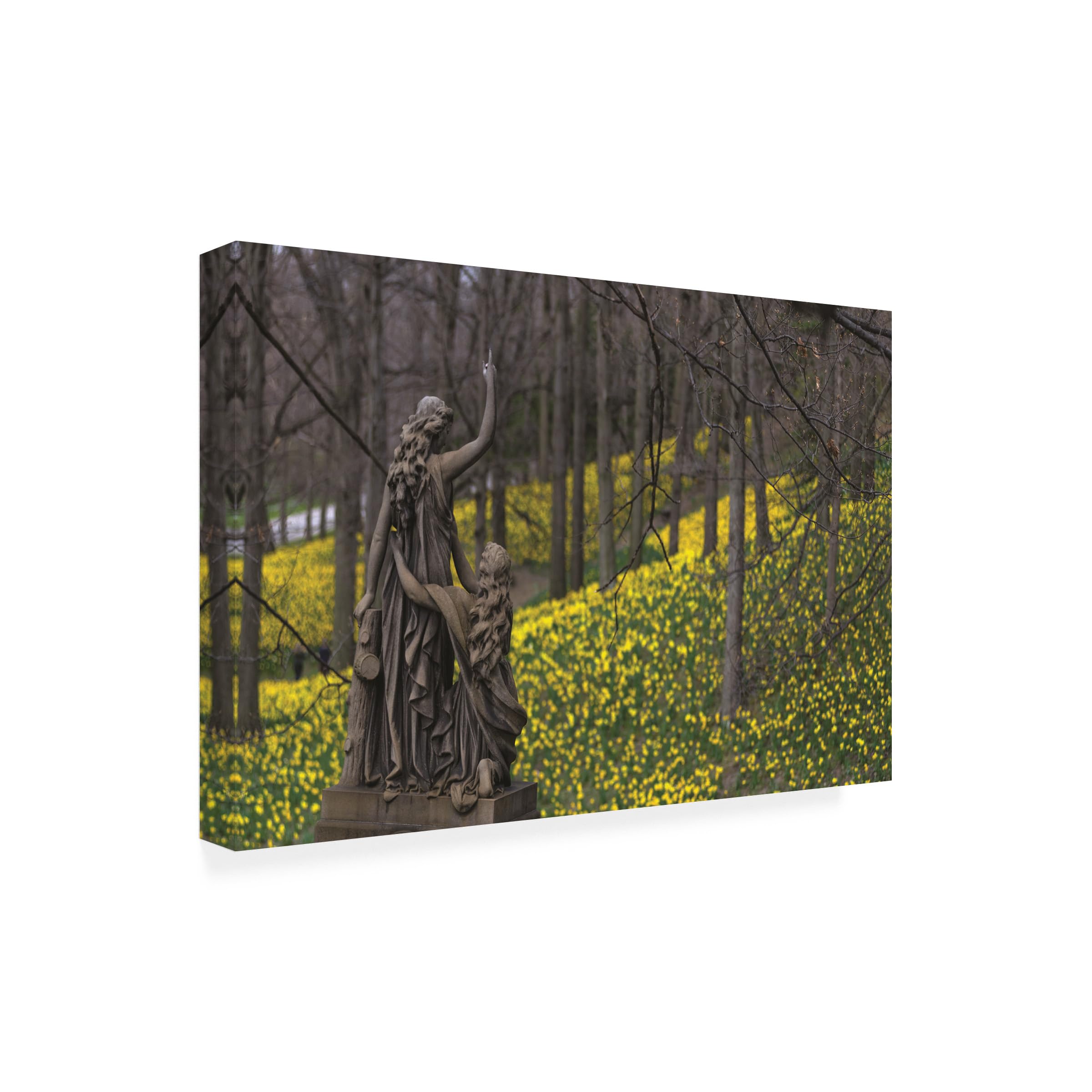 Kurt Shaffer 'Dominion Over Daffodils' Canvas Wall Art Print - Floral Photography Home Decor for Living Room, Bedroom & Office