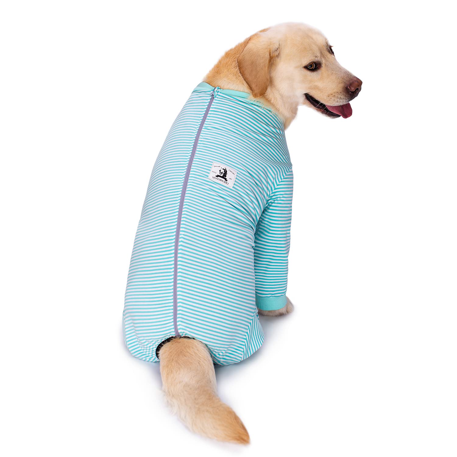 Miaododo Dog Recovery Suit for Medium & Large Dogs - Post-Surgery Dog Onesie with Full Coverage for Abdominal Wounds | Striped Long Sleeve Dog Pajamas with Zipper (Size 34, Light Blue) - Perfect for Post-Op Care, Wound Protection & Comfortable Healing